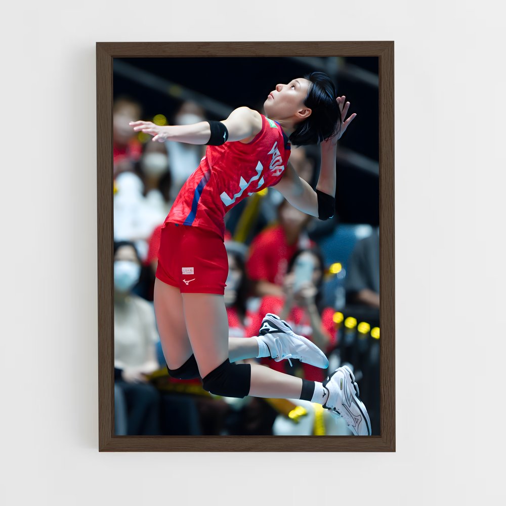 Poster Volleyball de league internationaux (vue 5)